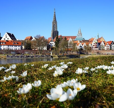 Panoramablick vom Stadtzentrum in Ulm mit Fluss Donau und Kirchturm mit Blumen im Vordergrund | © Pixabay.com/Hans Braxmeier