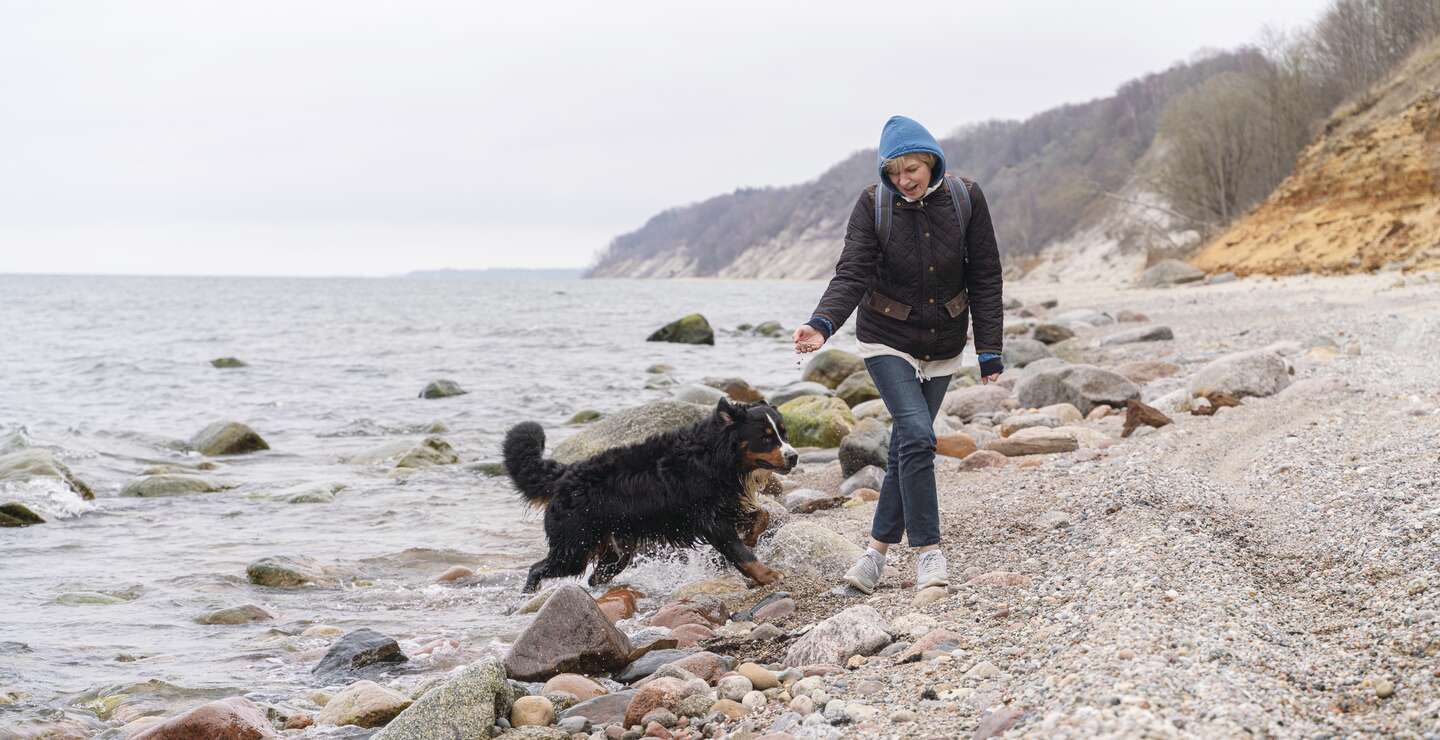 Die reife Frau geht im Winter mit ihrem belgischen Zennenhund an der felsigen und sandigen Küste der Ostsee spazieren. | © Gettyimages.com/potemkin