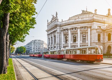 Wiener Ringstraße, Burgtheater und Straßenbahn bei Sonnenaufgang | © Gettyimages.com/bluejayphoto
