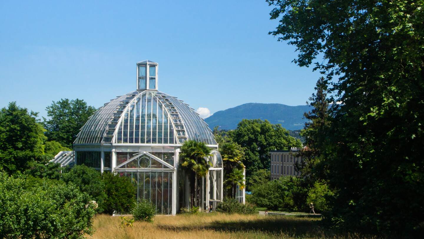 Gewächshaus des Genfer Botanischen Gartens im Sommer | © Gettyimages.com/Natalia Silyanov