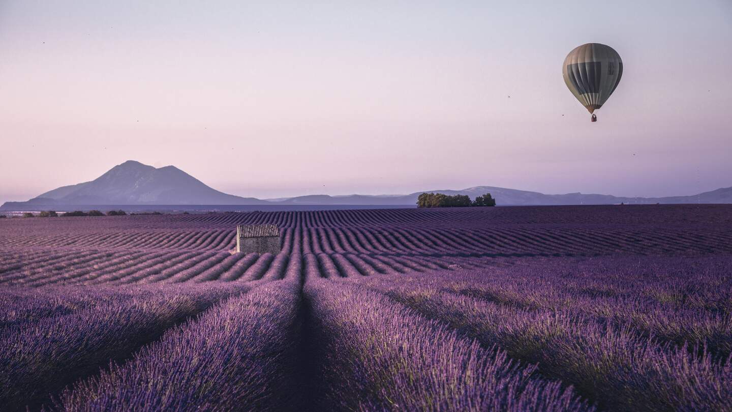 Endloses Lavendelfeld in der Provence, Frankreich mit Ballon | © Gettyimages.com/serts