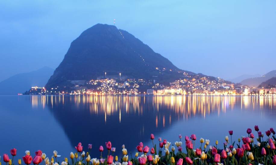 Im Vordergrund sind einige Tulpen zu sehen, in einiger Entfernung sieht man Lugano bei Nacht | © pixabay/saysay75