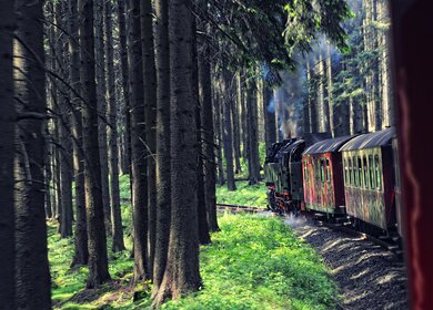 Schmalspurbahn im Wald zwischen Tannenbäumen auf dem Brocken im Harz  | © Gettyimages.com/hsvrs