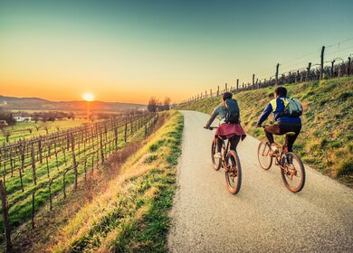 Paar fährt Fahrrädern auf einem Weg am Weinfeld in Richtung Sonnenuntergang | © GettyImages.com/egon69