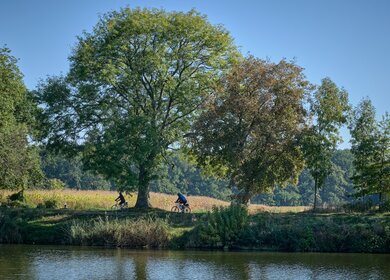 Silhouette von zwei Radfahrern unter einem großen Baum an einem Flussufer der Elbe | © Gettyimage/Jan Nevidal