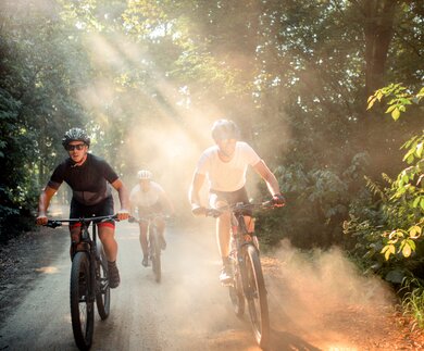 Gruppe aus drei Männern färt mit Fahrrädern durch den Wald bei Sonnenschein mit Staub in der Luft | © GettyImages.com/zeljkosantrac
